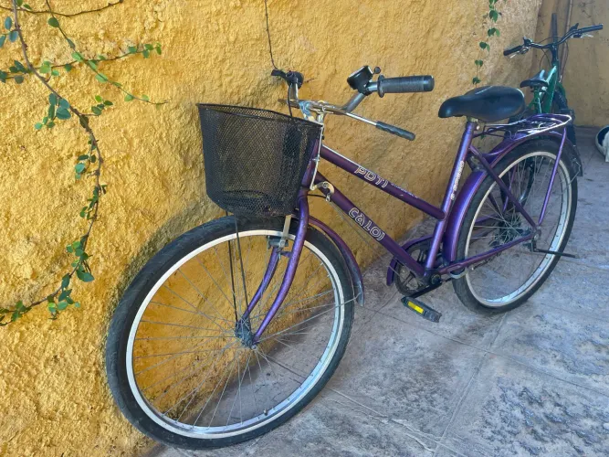 Bicicleta estilo Vintage