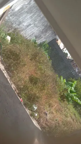 Limpeza na roçadeira