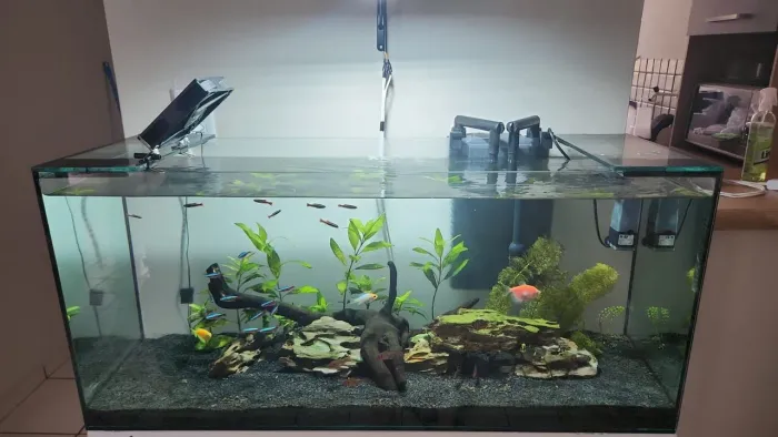 Aquário 100 Litros com base + filtro e luminária