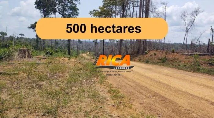 Fazenda à venda, com 500 hectares no município de Cujubim/RO