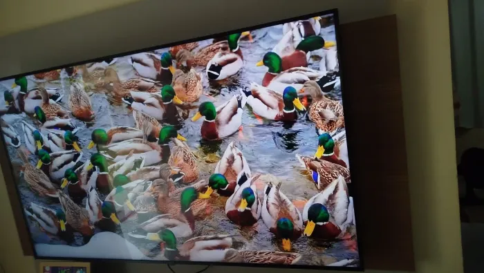 Tv LG 65 polegadas