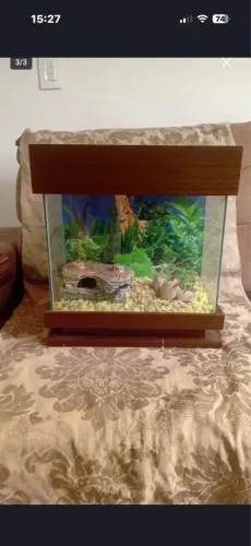 Lindo aquário