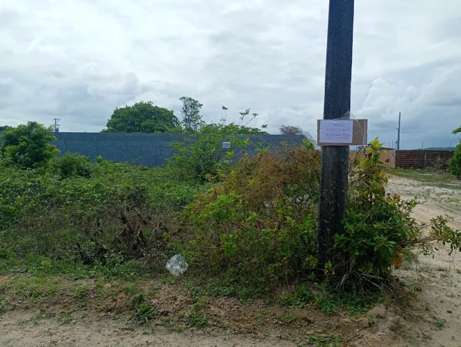 Lotes Apartir 25mil Praia Catuama