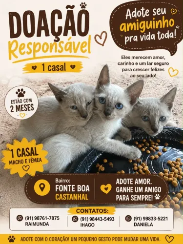 Doação Responsável