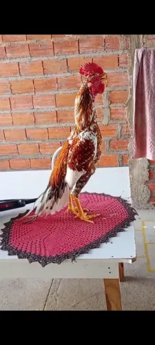 Frango