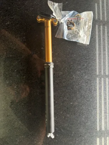 Canote Fox Transfer Kashima