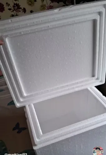 Caixa de isopor grosso 44 litros