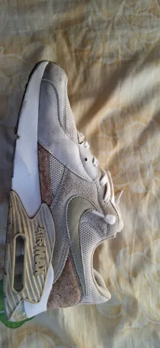 Tenis