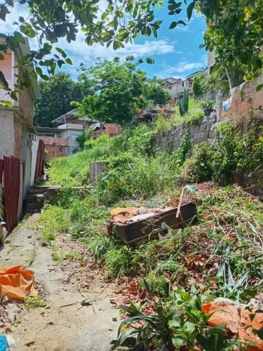 Terreno