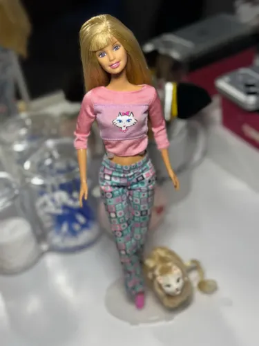 Boneca Barbie Kitty Fun