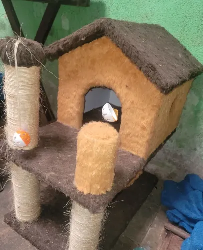 Casinha Mansão para gatos