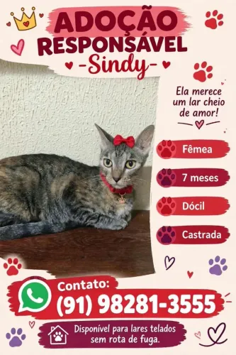 Gata