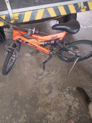 Bicicleta colli