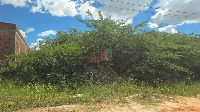 LOTE  385,19 m² | Bairro Rincão Mossoró/RN.