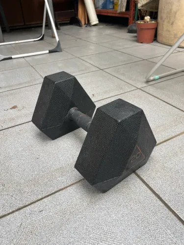 Halter Domyos 20kg