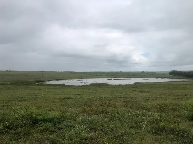 Fazenda para Arrendar