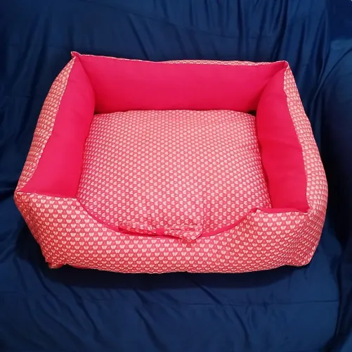 Caminha para Pet..