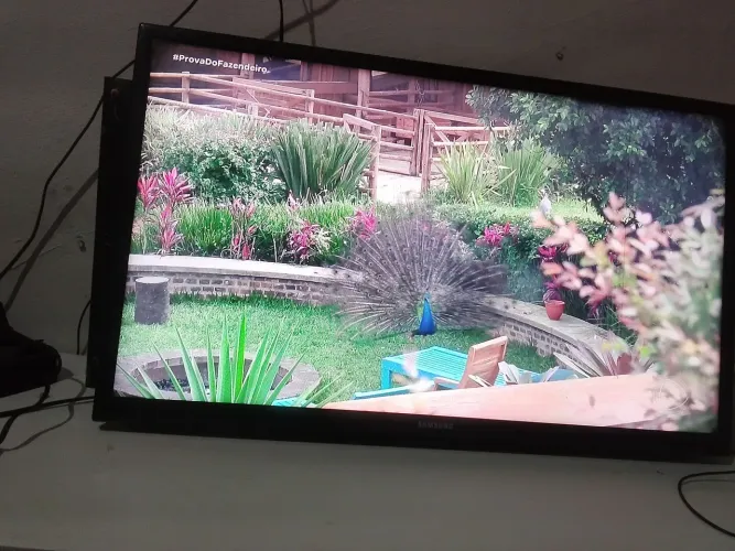 Vende uma tv Samsung 32 polegadas não e smart tô vendendo pq comprei outra..