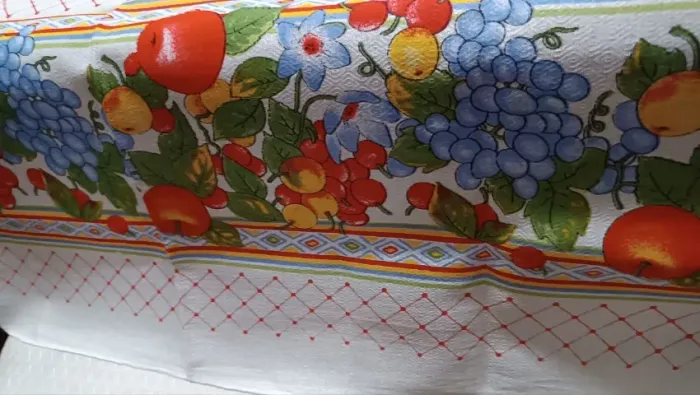 Toalha Frutas Retangular para Mesa de 6 Cadeiras (Bangu, próx. ao shopping)