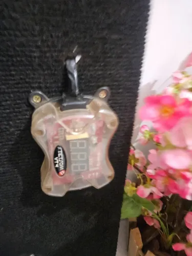 Ta pro rolo pego ouro moto celular 