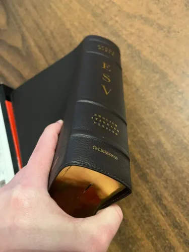 BÍBLIA SAGRADA DE ESTUDO Capa Couro de Búfalo - ESV STUDY BIBLE - Em Inglês IMPORTADA