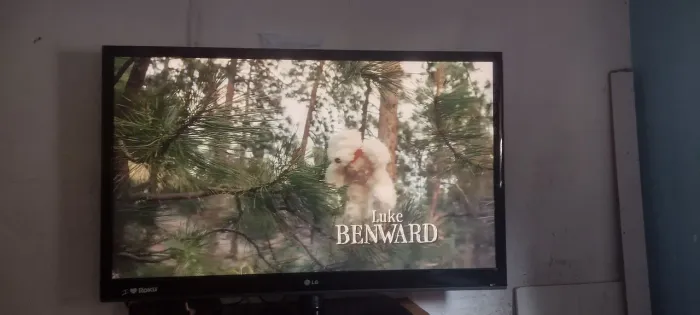 Vende tv lg