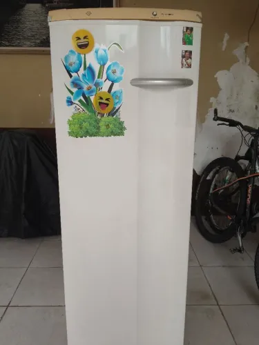 Freezer vertical