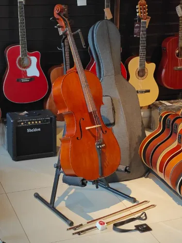 Violoncelo Eagle CE300 Harmonizado Luthier Exclusividade Som Aberto Garantia Somos loja!