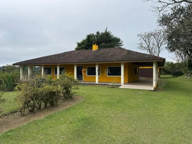 FAZENDA RURAL em TRÊS CÓRREGOS - PR, Arvore Alta