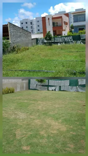 Jardinagem e paisagismo 