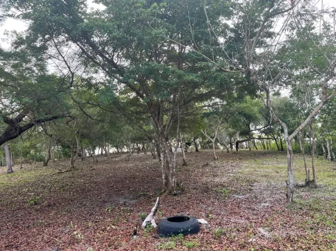Lote em MORROS 800 metros quadrados. 3 minutos do rio Una ANDANDO.