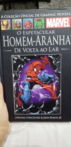 O ESPETACULAR HOMEM ARANHA: DE VOLTA AO LAR