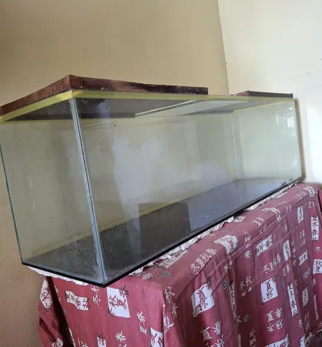 Aguardo para peixes <br>Largura:30cm<br>Altura:34cm