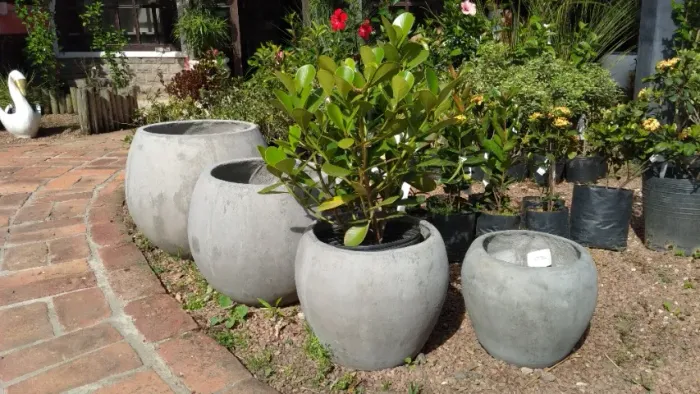 Vasos de concreto sem pintura 