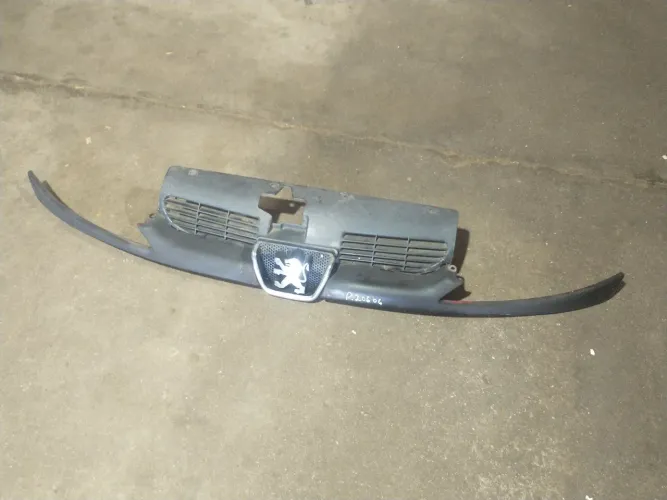 Grade Dianteira Peugeot 206 2005
