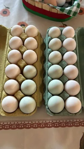 Ovos de marreca de pompom 