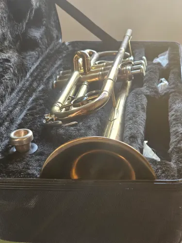 TROMPETE MICHAEL WTRM36 (ÚNICO DONO)