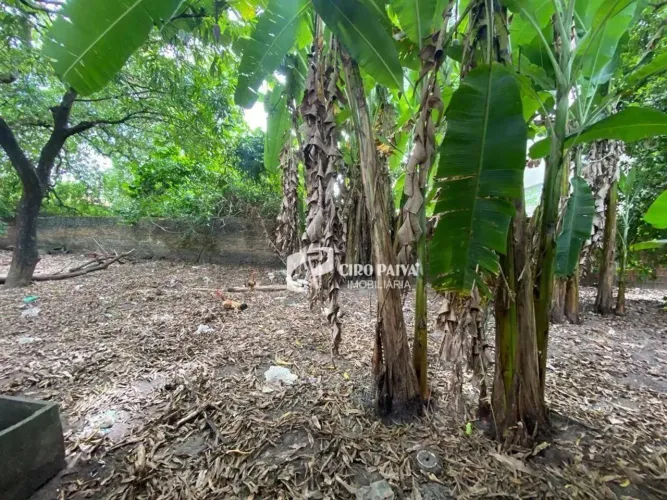 Terreno à venda, 1513 m² por R$ 2.650.000,00 - Parquelândia - Fortaleza/CE