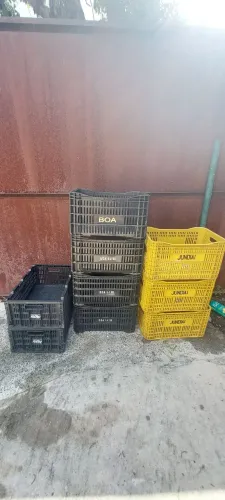 Caixa engradado 20,00 cada