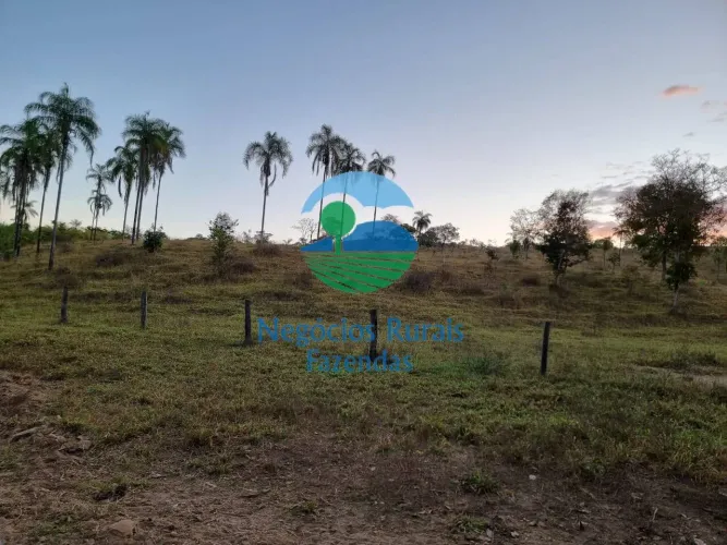 Fazenda a venda em Goiás 1.210 hectares ou 250 Alqueires campinaçu - GO