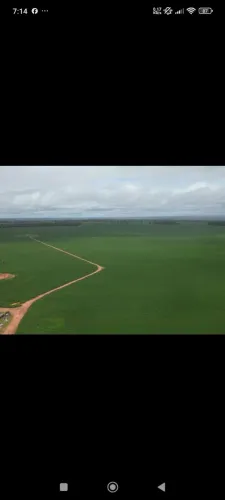 Fazenda arrendamento 1.300 hec plantando em Tibagi, MT.