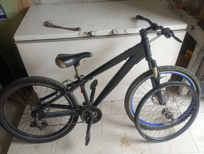 Vendo gios