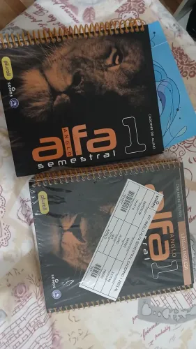 KIT ANGLO SEMESTRAL 1