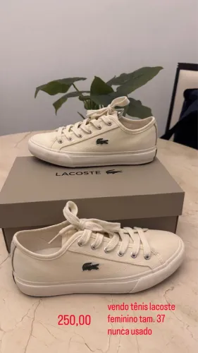 tênis lacoste feminino 