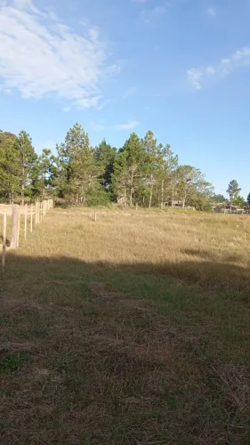 Terreno à venda em Mostardas/RS - Bairro Nova Escócia