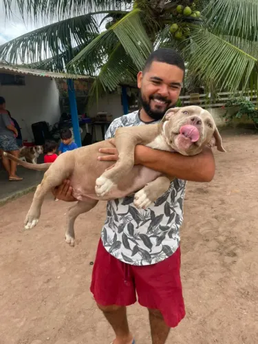 PitMonster
