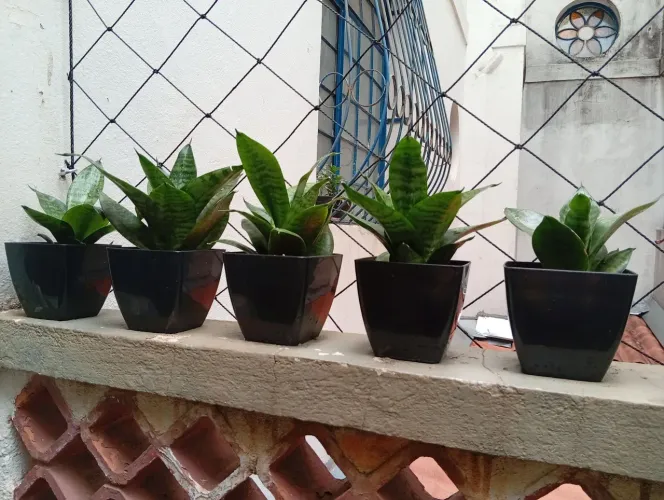 Mini espada de São jorge