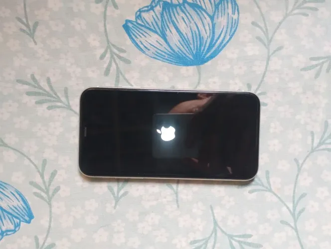 iPhone 11 semi-novo