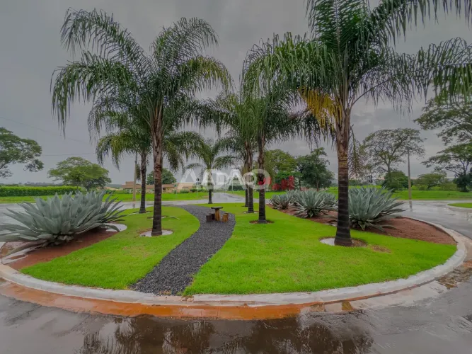 LOTE DE CHACARA A VENDA Lote à Venda, 2707.18 por R$ 599000.00 no setor Área Rural AU33309