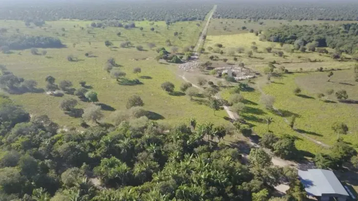 FAZENDA DE ALTO PORTE EM SÃO MIGUEL DO ARAGUAIA 6.164 HECTARES (1.300 Alqueires) - Cocal